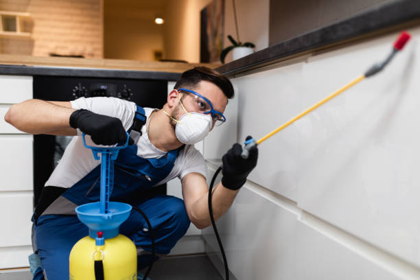 Pest Control for Restaurants in Independence, KS