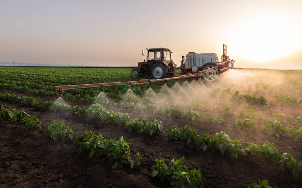 Best Best Pest Control Companies  in Independence, KS