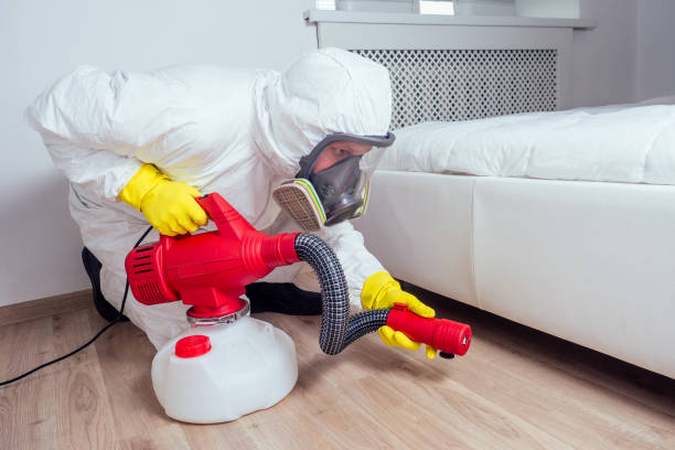 Best Local Pest Control Services  in Independence, KS