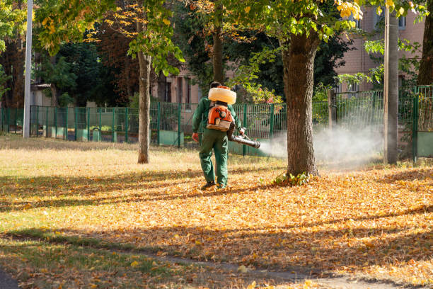 Best Insect Control  in Independence, KS