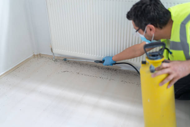 Best Pest Prevention Services  in Independence, KS
