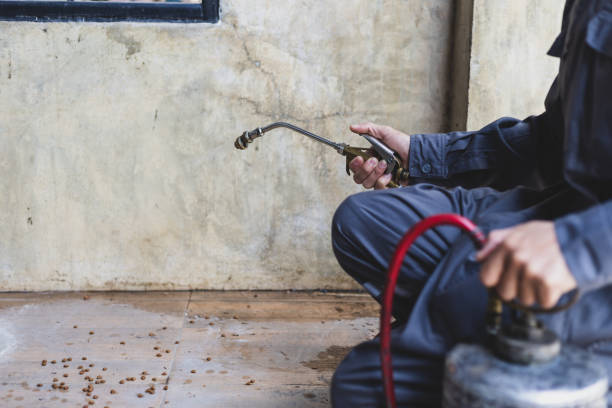 Best Affordable Pest Control Services  in Independence, KS